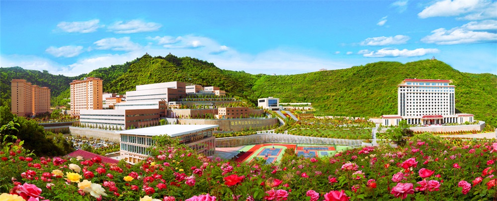 三季有花、四季常青的金徽礦區-p2.jpg